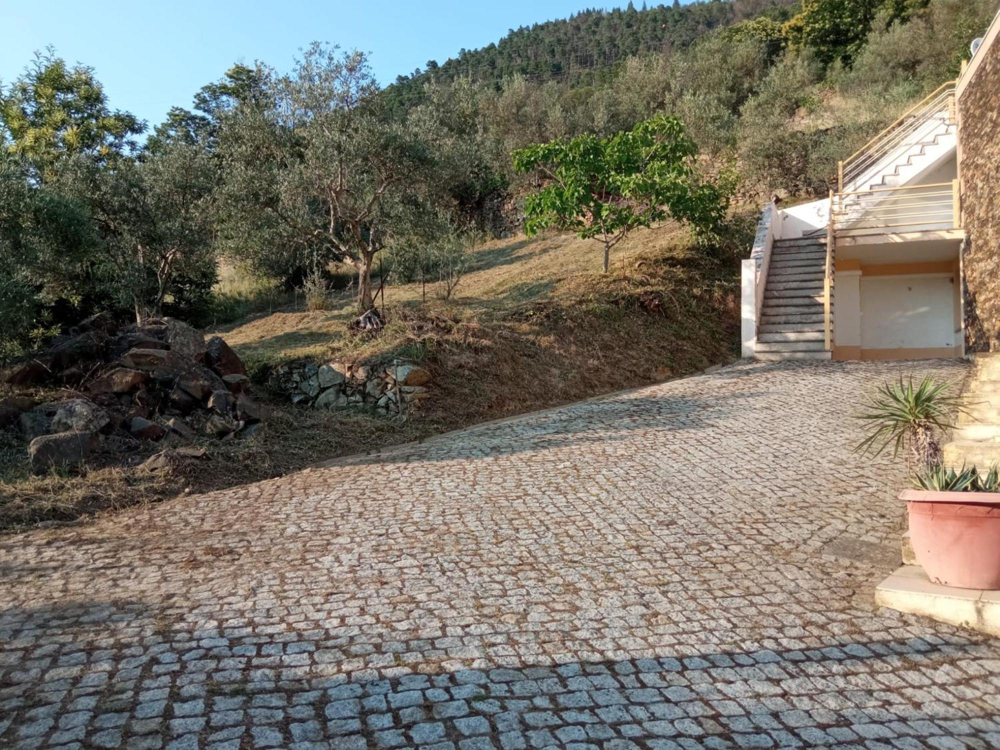 Casa Das Oliveiras - 만테이가스 외부 사진