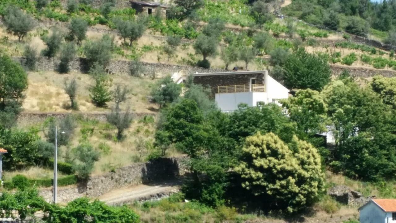 Casa Das Oliveiras - 만테이가스 외부 사진